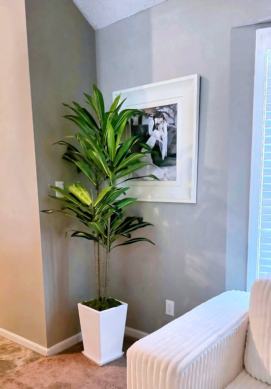6FT Artificial Dracaena Tree